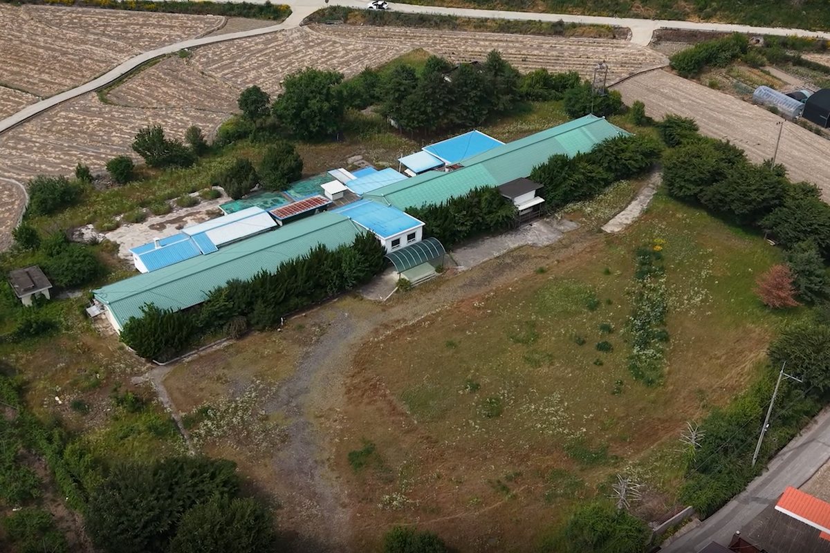옛 신녕서부초등학교 전경. 하늘에서 내려다본 학교 건물과 운동장
